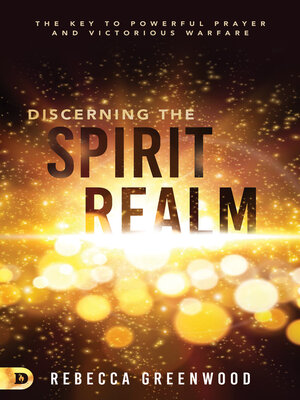 cover image of Discerning the Spirit Realm